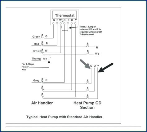 cat  wiring diagram wall plate diagrams resume examples