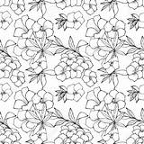 Alamanda Clipart Clipground Seamless Outline Floral Pattern sketch template