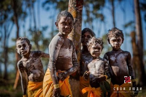 Аборигены Австралии быт коренного населения в 2024 году