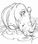 Coloring Rhino Pages Rhinoceros Kids Rhinos Printable Animal Colouring Large Print Drawing Books Book Popular Elephant Coloringhome Choose Board Comments sketch template