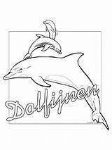 Kleurplaten Kleurplaat Dolfijnen Paard Dolfijn Volwassenen Paarden sketch template