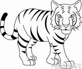 Tiger Outline Clipart Clip Bengal Drawing Animals Stripped Face Kids Cartoon Tigers Coloring Sketch Classroom Kid Getdrawings Animal Graphics Cliparts sketch template
