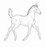 Foal Lineart Foals Laying Getdrawings sketch template