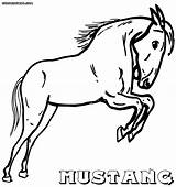 Mustang Horse Coloring Pages Animal Colorings Sheet Print sketch template