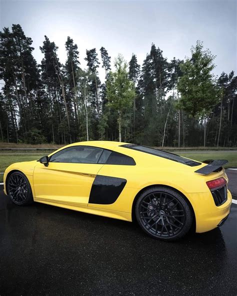 audi    audi motorsport audi  yellow audi