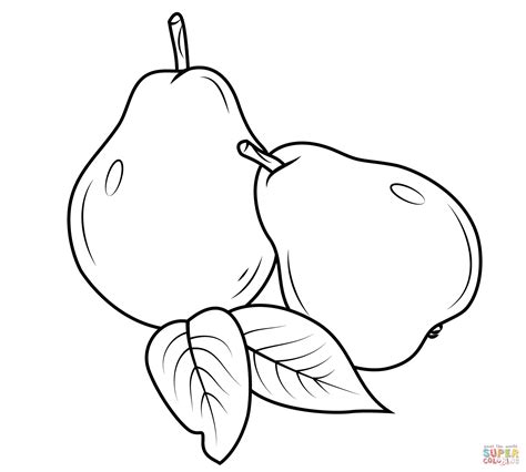 pears coloring page  printable coloring pages