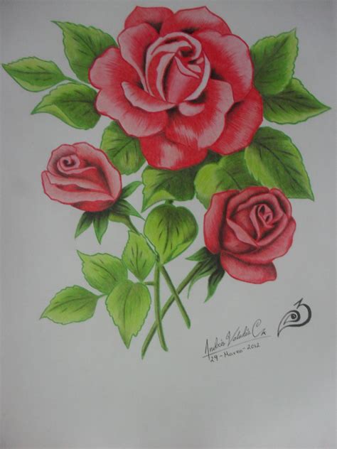 Rosas Imagenes De Flores Para Dibujar A Lapiz