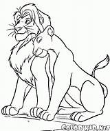 Nala Lioness Simba sketch template