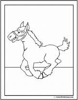 Clydesdale Coloring Horse Pages Print Getcolorings Printable Cute sketch template