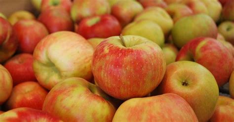 honeycrisp apples recalled die  listeria threat