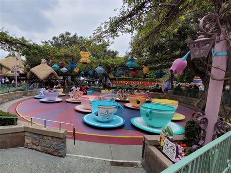 mad tea party overview disneyland attractions dvc shop