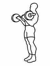 Halterofilia Entrenamiento Pesas Levantamiento Colorare Workout Weightlifting Allenamento Disegno Pintar Sollevamento Lifting Caricatura sketch template