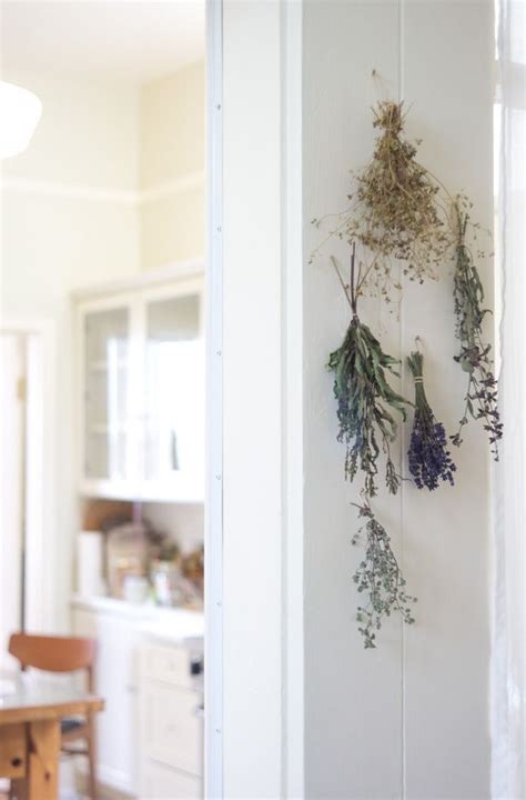 Pin By Tina Horn On ~ Herbal Home ~ Dried Flowers