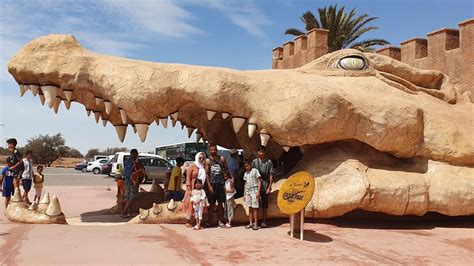 agadir crocodile park crocoparc agadir morocco 4k 🇲🇦 youtube
