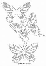 Farfalle Sagome Ritagliare Stampare Pianetabambini Farfalla Colorate Bacheca sketch template