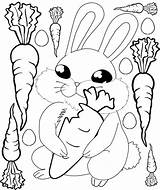 Kelinci Mewarnai Wortel Makan Sketsa Carrot Rabbit Bilby Carrots Diwarnai Anak Tk sketch template