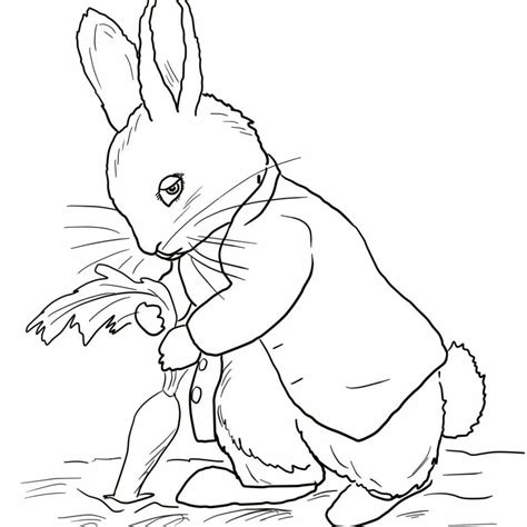 peter rabbit colouring pages printable petspare