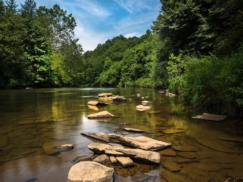 river state park webcast wednesday june  celebrates life   ancient  river nc dncr