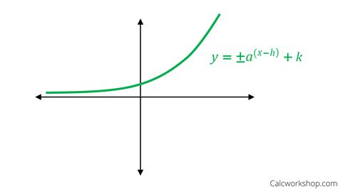 graph  exponential function sharedoc