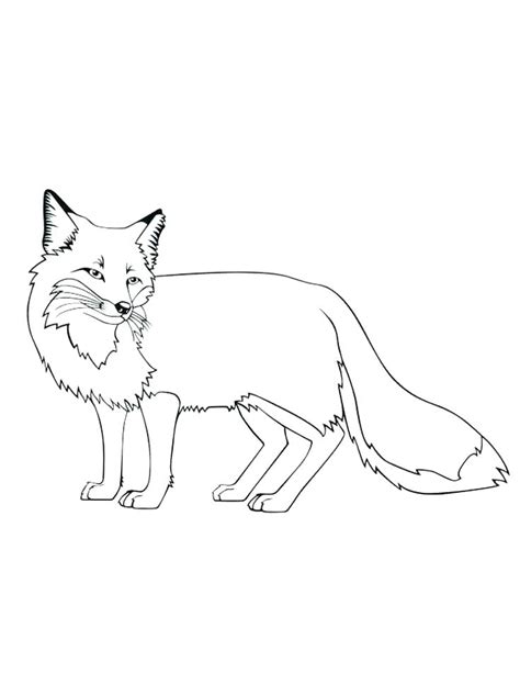 cute fox coloring pages  getcoloringscom  printable colorings