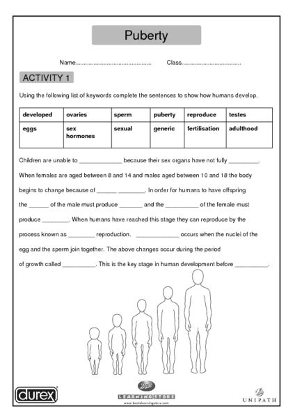 puberty worksheet for 5th 7th grade lesson planet