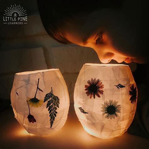magical pressed flower lanterns  pine learners