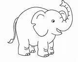 Elefant Elephants Elefanten Ausmalbild Ausmalen Malvorlage Maus Sendung sketch template