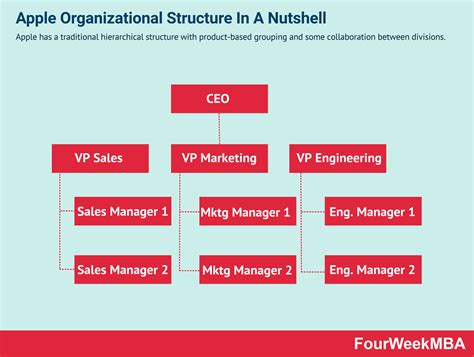 hierarchical organizational structure fourweekmba