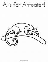 Coloring Anteater Favorites Login Add Twistynoodle sketch template