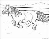 Gypsy Coloring Horse Pages Stallion Vanner Color Horses Printable Online Pony Print Kids Getcolorings Template Simple 1100 01kb 850px sketch template