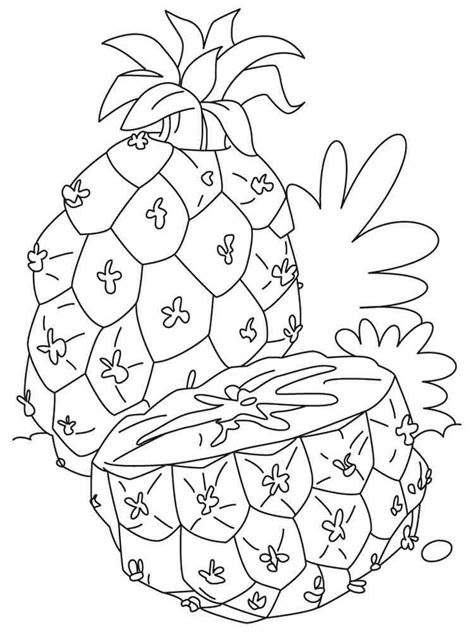 pineapple coloring pages   print pineapple coloring pages