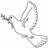Dove Coloring Pages Peace Choose Rocks Adult Print sketch template