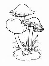 Mushroom Template Cogumelos Mycoloring Riscos Casinhas Colorir Cogumelo Graciosos Poisonous Riscosgraciosos sketch template