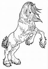 Clydesdale Coloring Pages Horse Deviantart Rearing Patterned sketch template
