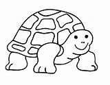 Coloring Turtle Tortoise Pages Drawing Cute Outline Galapagos Sea Turbine Wind Printable Cliparts Kids Para Gopher Getcolorings Cartoon Print Colorear sketch template