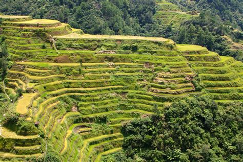 Banaue Rice Terraces Philippines Map Facts Location