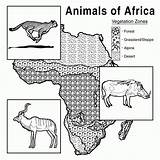 Coloring Animals Africa African Pages Steppe Vegetation Habitat Zone Chart Science Life Library Clipart 15kb 945px sketch template