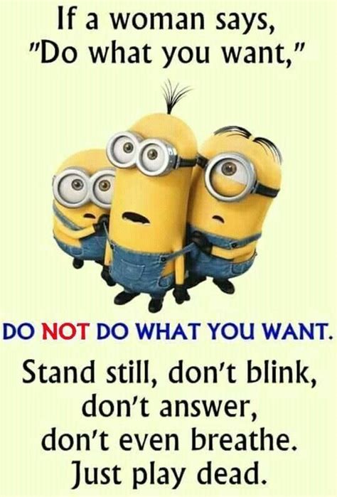 Pin By Sara Gove On Minions Funny Minion Quotes Minions Funny Funny