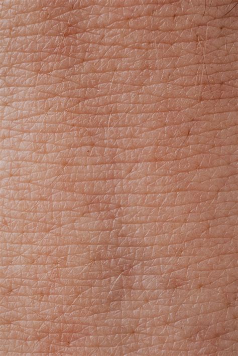 close  view  human skin  stock photo