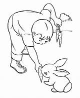Coloring Pages Feeding Rabbit Carrot Pet Pets Bunny Outline Printable Kids Carrots Animal Animals Honkingdonkey Boy Drawing Activity Gif Popular sketch template