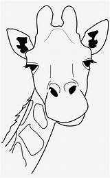 Giraffe Giraffes  1425 Pngitem Cleanpng Kisspng Crafts Pngkey Kindpng sketch template