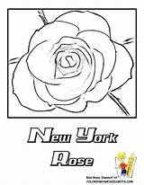 Coloring York Pages Getdrawings Mets sketch template