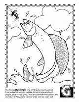 Alaska Fish Abcs sketch template