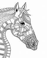 Horse Colouring Canvas sketch template
