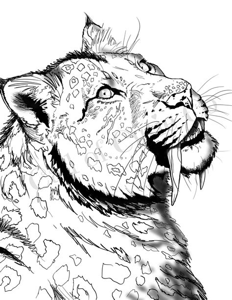 brace   beaming saber tooth tiger coloring page closing