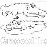 Coloring Wetlands Pages Crocodile Getdrawings Printable Getcolorings sketch template