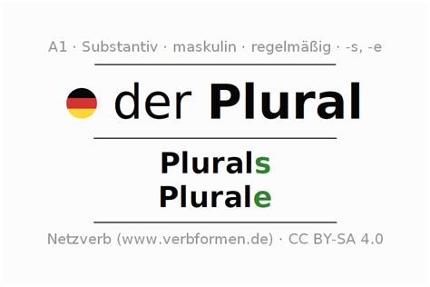 deklination plural alle faelle des substantivs plural und artikel netzverb woerterbuch