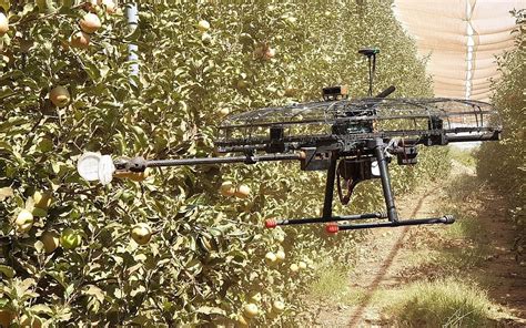 startup  time  ripe  fleets  drones   farmers pick fruit  times  israel