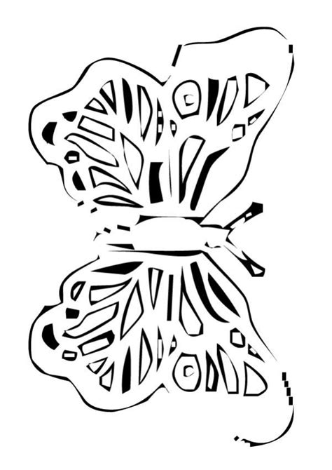 pin  birds  butterflies coloring pages