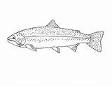 Trote Trout Fish Printmania Ift sketch template